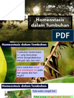 Homeostasis Dalam Tumbuhan