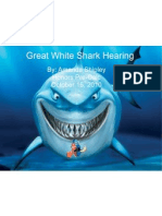 Great White Hearing