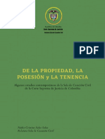 ALGUNOS-ESTUDIOS-PROPIEDAD-POSESION-TENENCIA-P