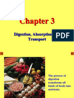 2020-Biokimia Nutrisi-3-Digestion Absorption Transport