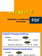 2020 Biokimia Nutrisi 4 Metabolisme