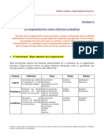 Módulo 6 - La Organización Como Sistema Viable