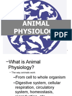 Topik 7 - Animal Physiology - Digestive System