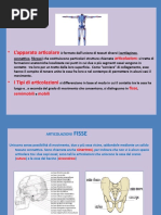 App. Articolare