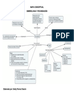 MAPA CONCEPTUAL