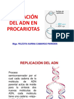 Teoría Replicación y Transcripción Del ADN, Traducción Del ARN.