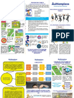 Folleto Induccion Multiempleos