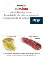 Sistema Hormonal