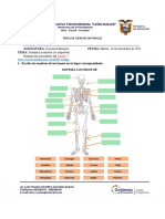 Tarea de Ciencias Naturales (16-11-2021)