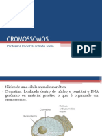 Aula 05 CROMOSSOMOS