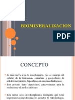 Biomineralizacion