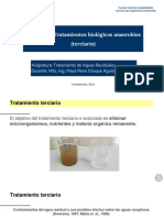 Tratamiento Biológico Anaeróbico