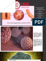 Diapositivas VPH