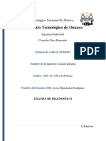 Benjamín Camacho Daza DIAGNOSTICO CALCULO INTEGRAL