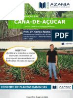 FCAVJ-AULA-9-manejo-plantas-daninhas