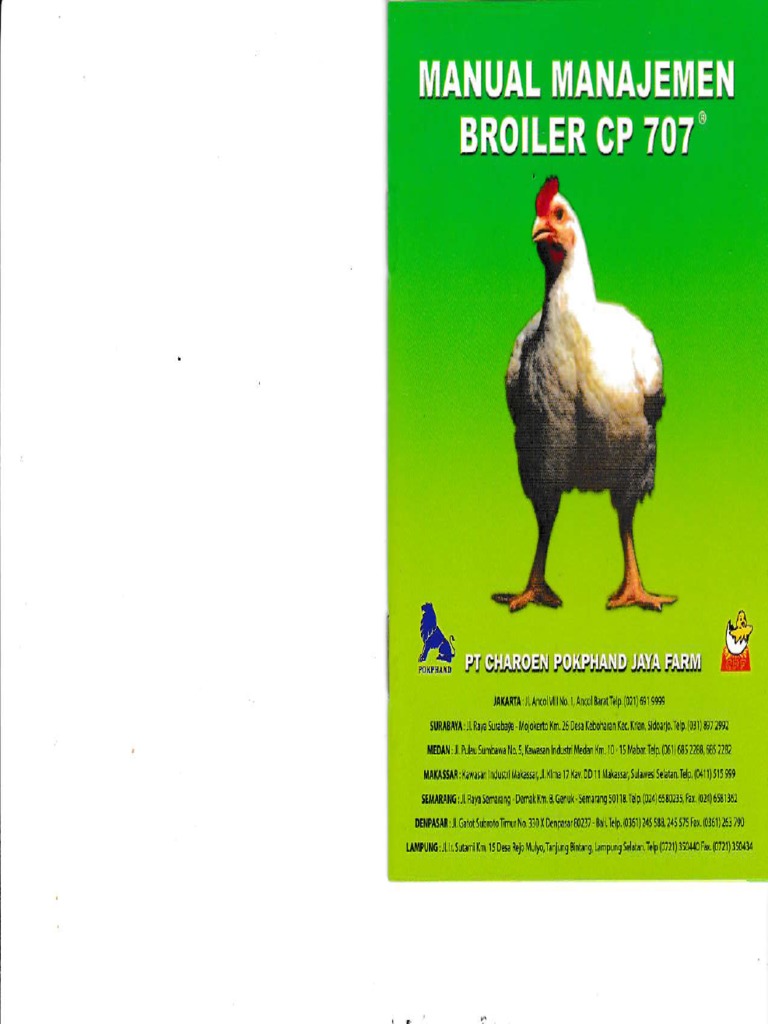 Panduan Manajemen Ayam Broiler CP 707 | PDF