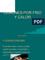 Lesiones por frío y calor: marco teórico