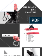 The Black Cat Analysis Group 6