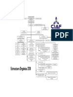 Estructura Organica - Organigrama Ciaf