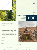 Deforestación (Ecología) - SkaStudies