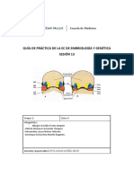 GUÍA PRÁCT 13ra Sesión