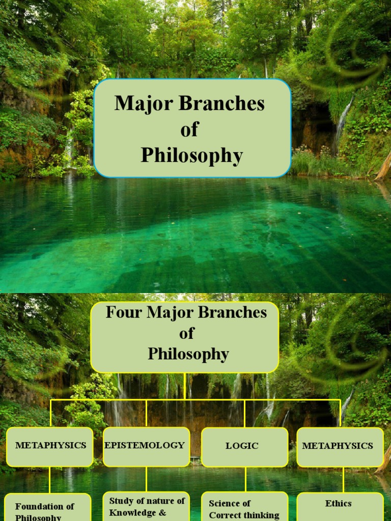 Branches of Philosophy PDF Epistemology Knowledge