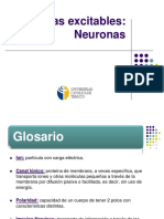 3) Neurona y Pot. de Acción