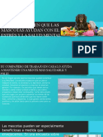 Cinco Formas en Que Las Mascotas Ayudan Con El Estrés y La Salud Mental