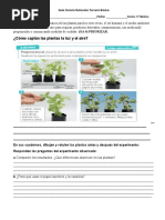 Guía Ciencia Naturales Tercero Básico