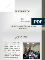 Fdocuments - Ec - Panel de Experto 1