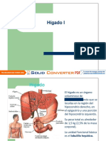 Higado