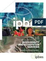 Ipbes Global Assessment Report Summary For Policymakers
