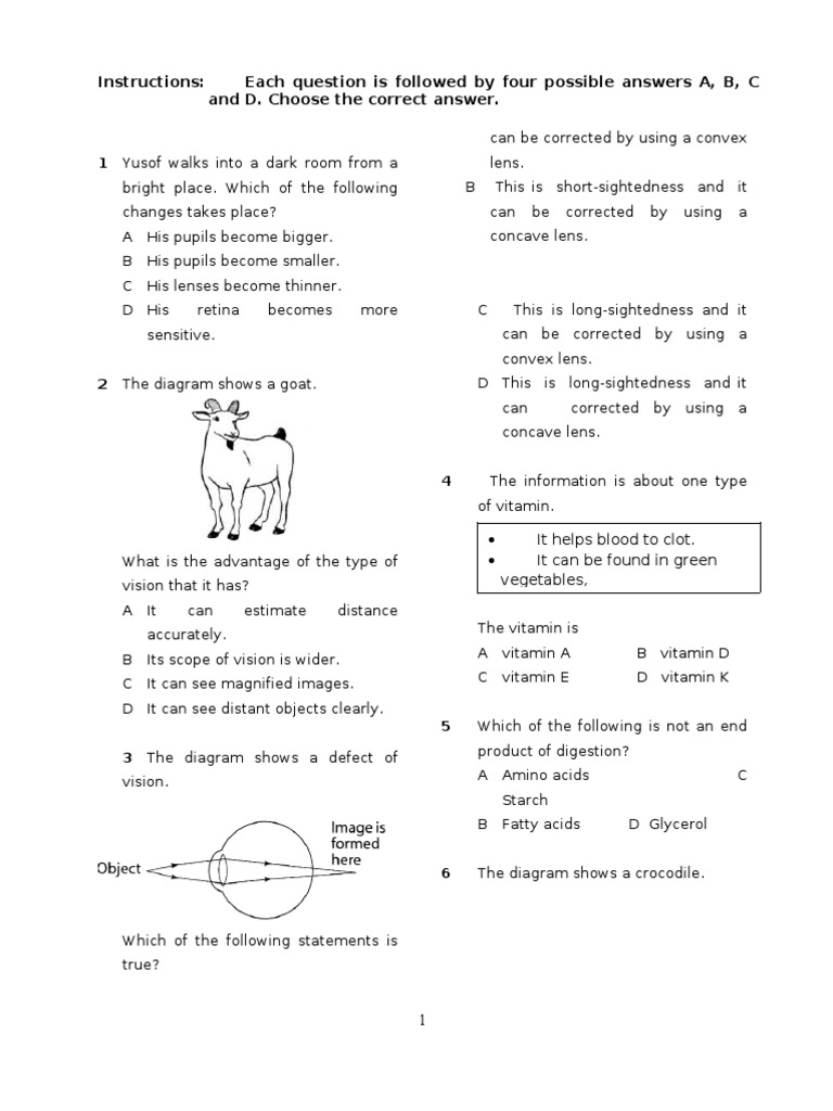 Vision and Force Concepts Quiz | PDF | Atmosphere Of Earth | Lens (Optics)