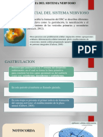 Neurodesarrollo PDF