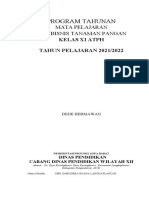 Program Tahunan Atp 11