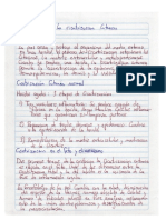 RESUMEN-FISIO-CICATRIZACION