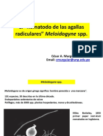 Unidad 4.3, Nematodos de Importancia Meloidogyne