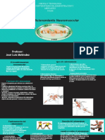 Presentación Acondicionamiento Neuromuscular