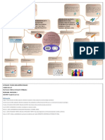 Evaluaciones Psicologicas