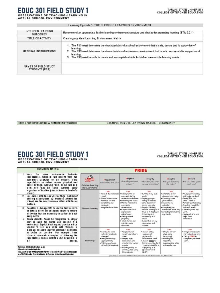 Ideal Remote Learning Environment Guide | PDF | Classroom | Learning
