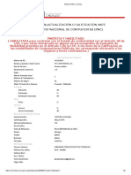 Sistema RNC en Línea TPI