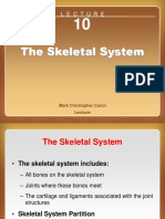 The Skeletal System: L E C T U R E