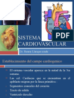 Cardiovascular 2013