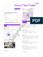 Sistema Inmune y Tejido Linfático 