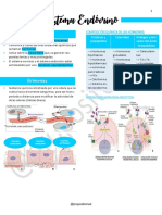 UNIDAD 16 - Sistema Endócrino