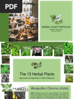 Herbal Plant Portfolio