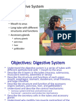 The Digestive System: Enteric (Gi)