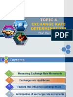 Topic 4. Exchange Rate Determination
