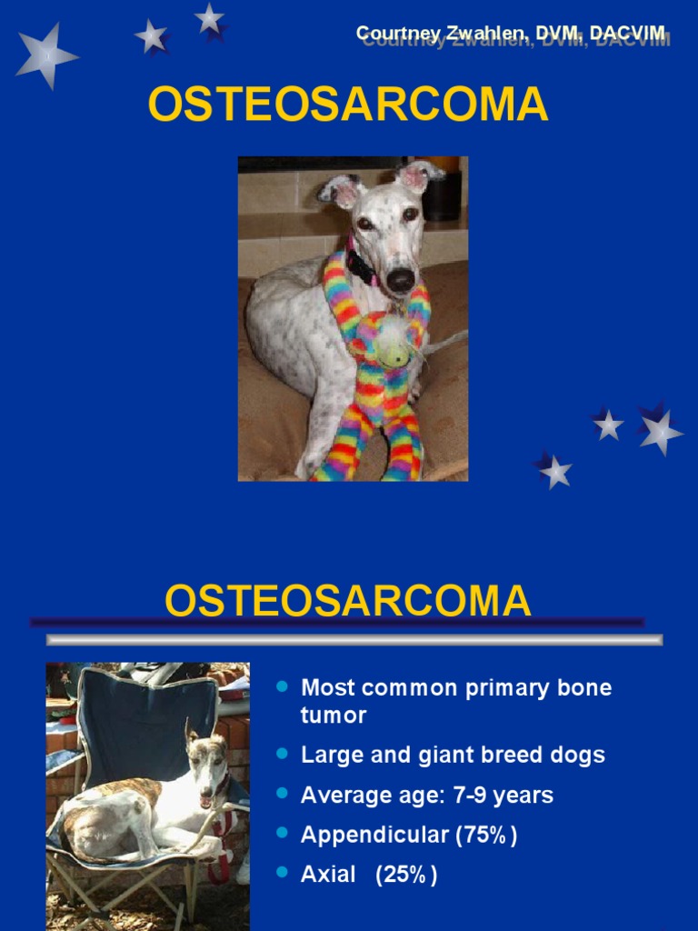 Courtney Zwahlen, DVM, DACVIM PDF Clinical Medicine