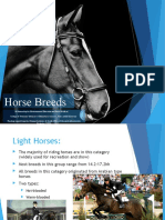 Top Horse Breeds for Riding and Draft Work